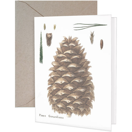 Botanical Pinecone Greeting Card