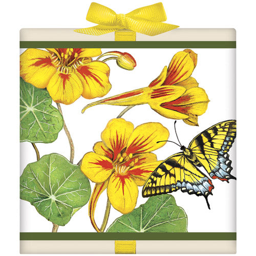 Nasturtium Tea Box