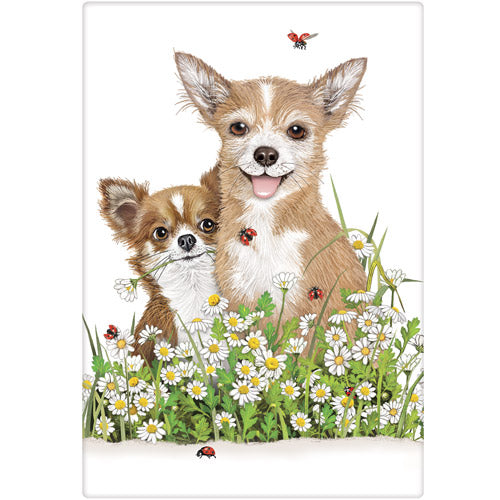 Chihuahua Family Bagged Towel