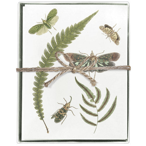 Fern Insects Boxed Greeting Cards