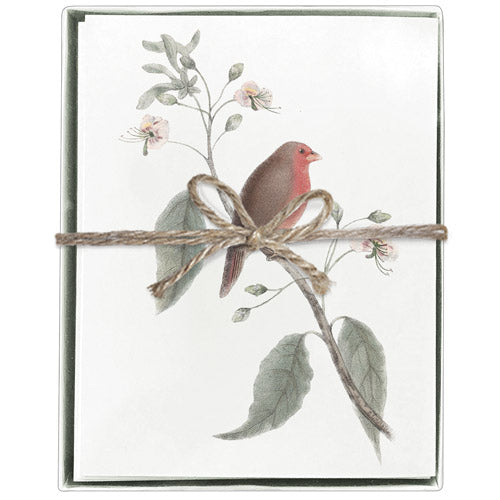 Little Red Bird Boxed Greeting Cards