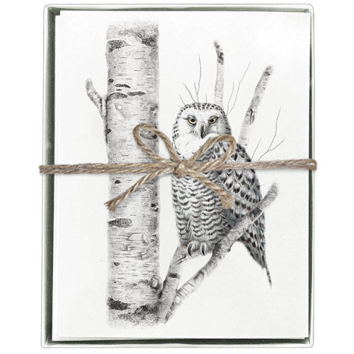 Birch Owl Boxed Greeting Cards