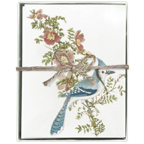 Bluejay Rose Boxed Greeting Cards