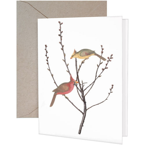 Bird Branch Greeting Card