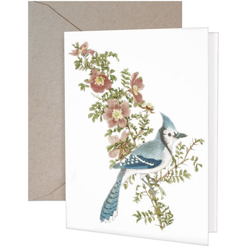 Bluejay Rose Greeting Card