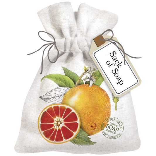 Botanical Citrus Sack Of Soap