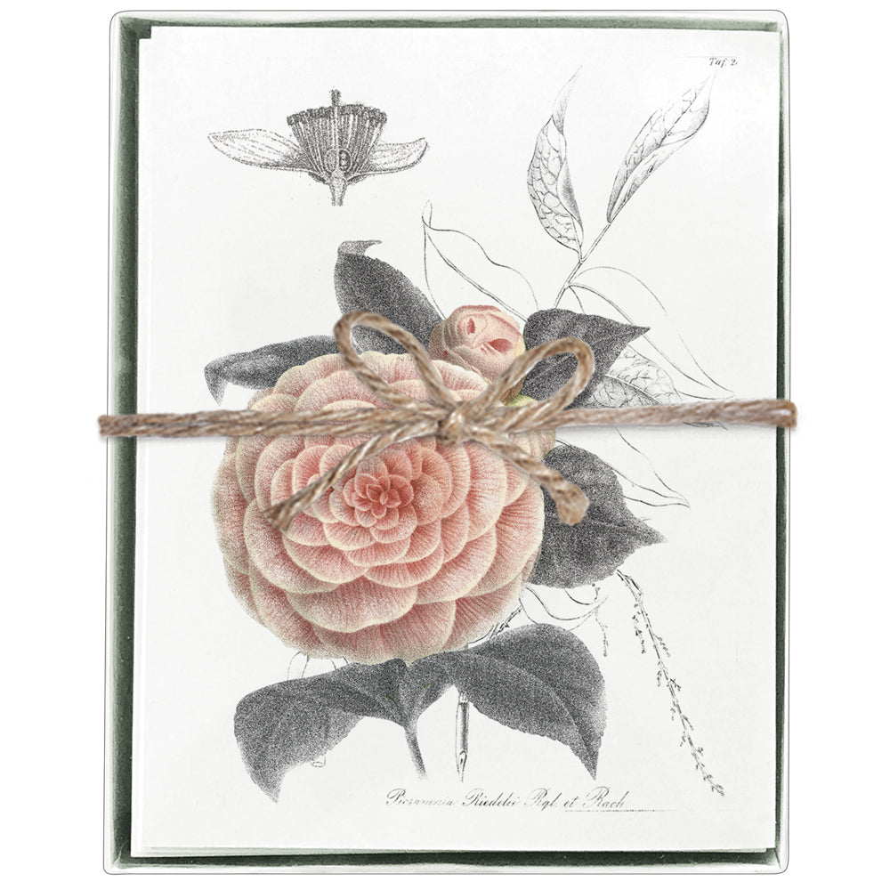 Camellia Boxed Greeting Cards