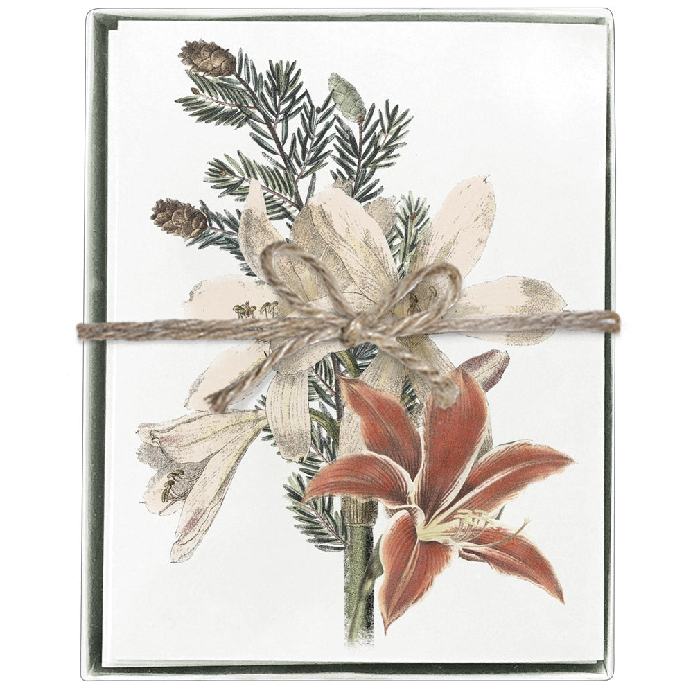 Amaryllis White Boxed Greeting Cards