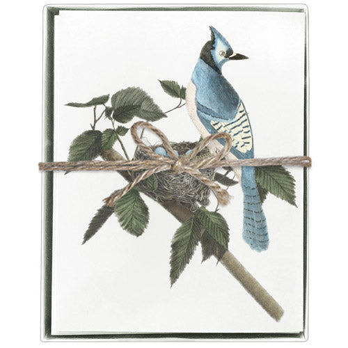 Bluejay Boxed Greeting Cards