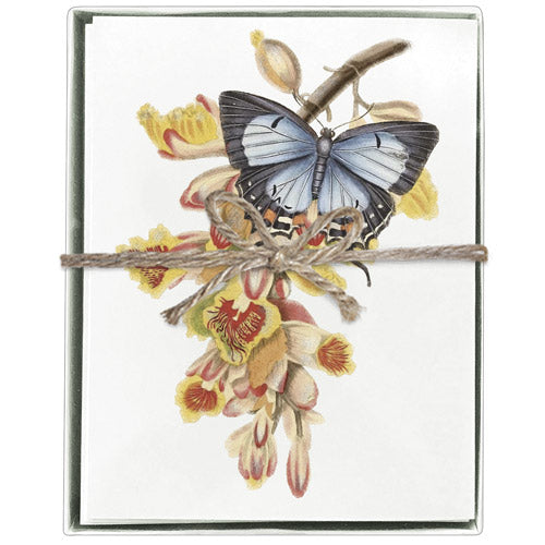 Butterfly Orchid Boxed Greeting Cards- Blank