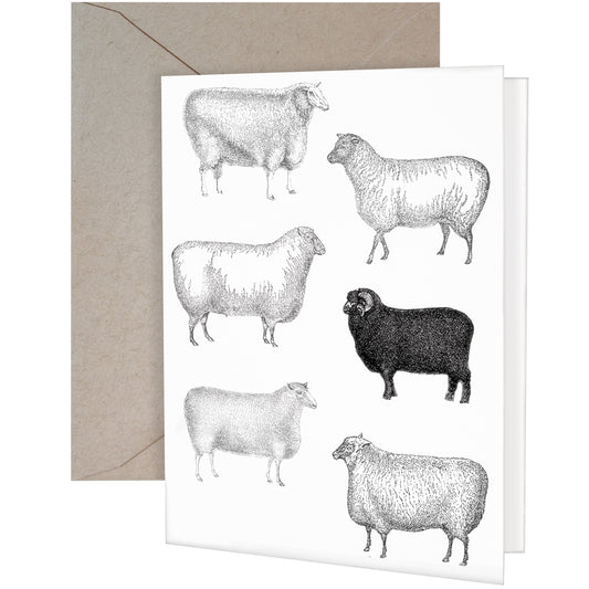 Black Sheep Gift Card