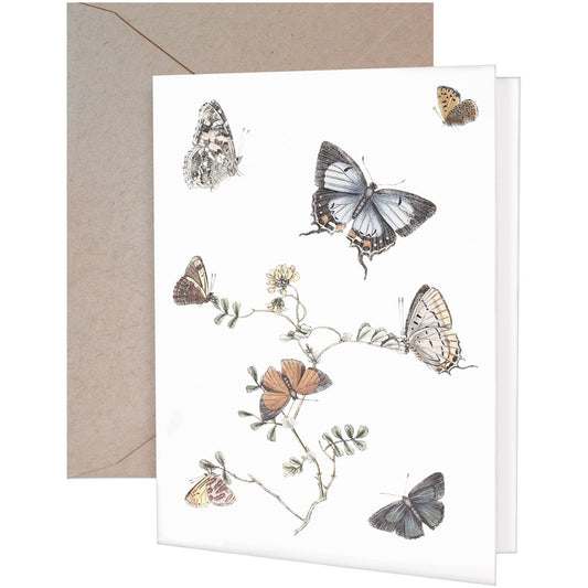 Butterflies Greeting Card