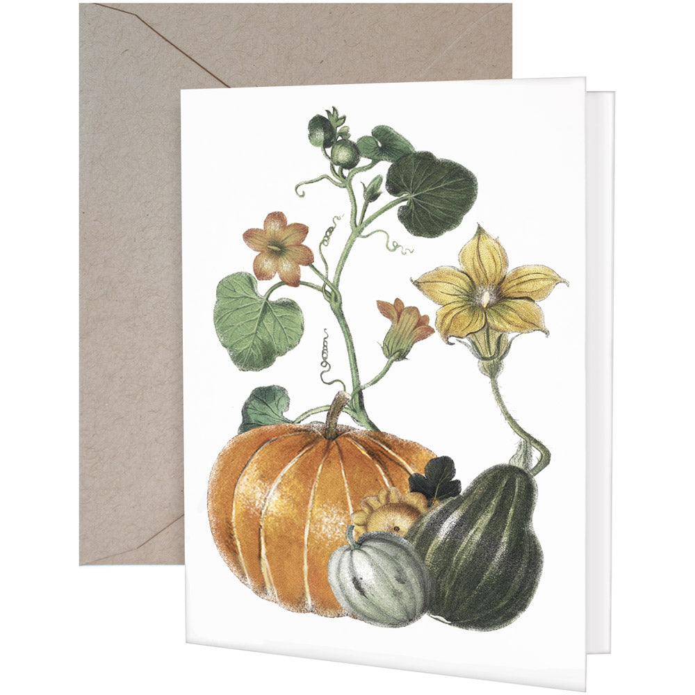 Pumpkin Vine Greeting Card