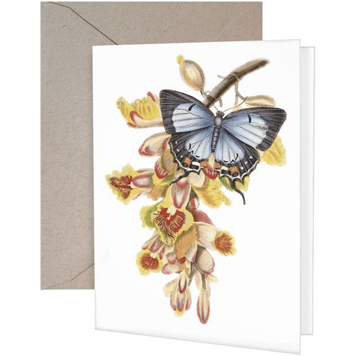 Butterfly Orchid Greeting Card-Blank