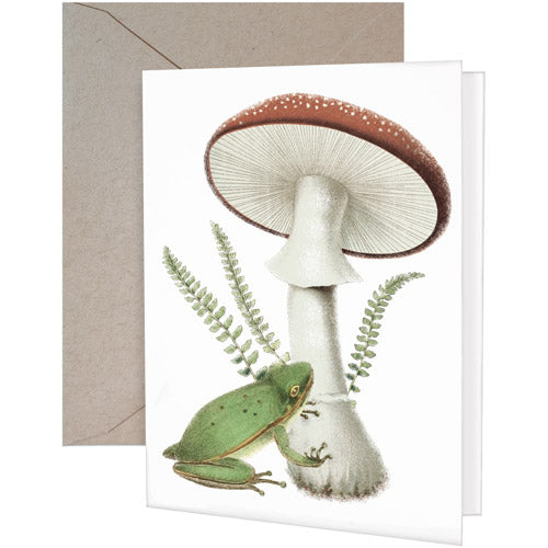 Frog And Toadstool Greeting Card